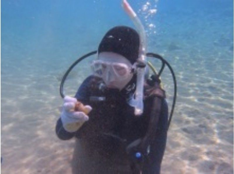 [Hokkaido ・ Shakotan Mikuni] Open Water Diver Course [Diving License training] ★ ☆ warm water shower Completeの紹介画像