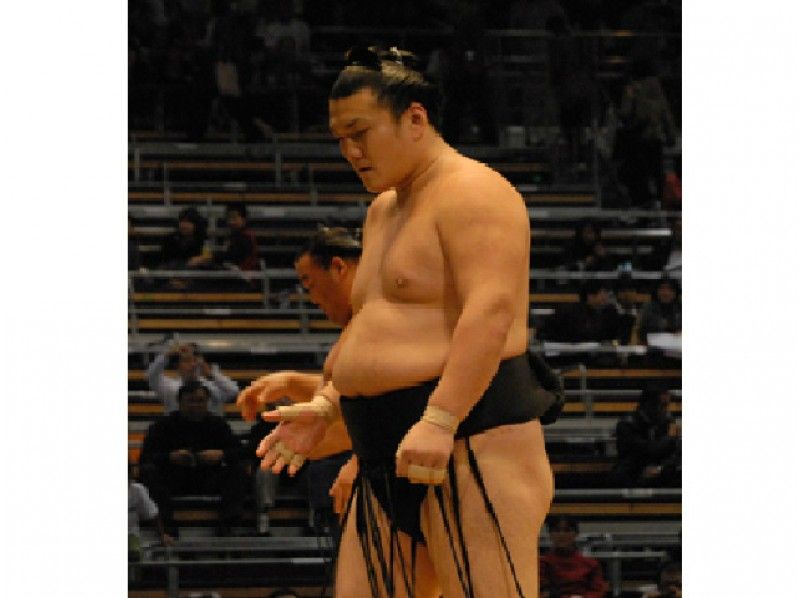 <相撲部屋見学ツアー>伊勢ノ海部屋朝稽古見学とちゃんこ鍋【2211】の紹介画像
