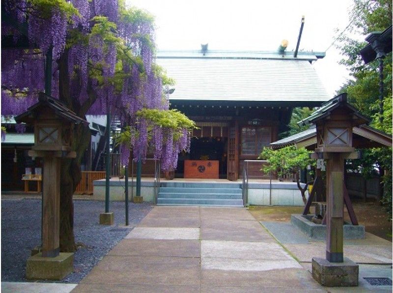 塩船観音寺つつじ祭と秘仏御開帳&國領神社御神木「千年乃藤」見学バスツアー【11954】の紹介画像