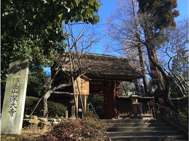 塩船観音寺つつじ祭と秘仏御開帳&國領神社御神木「千年乃藤」見学バスツアー【11954】の紹介画像