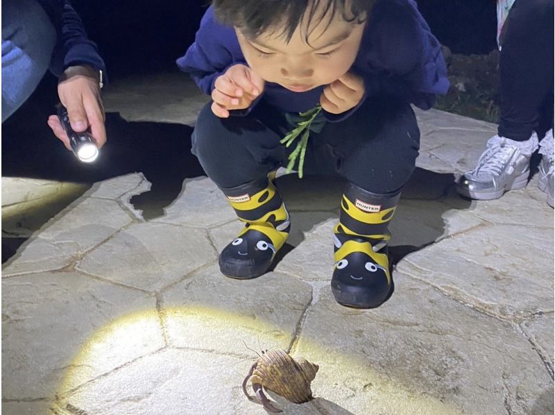 【石垣島/夜】こと座流星群観測チャンス！星空＆ジャングルナイトツアー★天然プラネタリウム&times;南国のレア生物★当日申し込みOK！の紹介画像