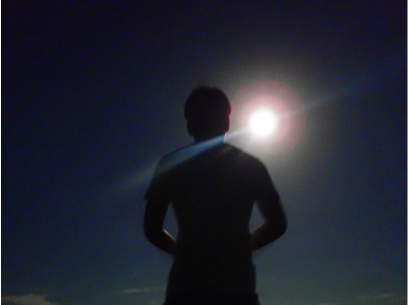 [石垣島/夜]星空和叢林夜遊★自然天文館x熱帶稀有生物★[區域優惠券目標]超級夏季促銷進行中の紹介画像