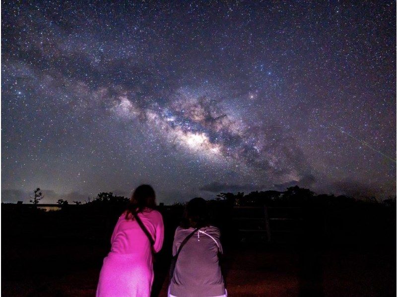 【石垣島/夜】こと座流星群観測チャンス！星空＆ジャングルナイトツアー★天然プラネタリウム&times;南国のレア生物★当日申し込みOK！の紹介画像