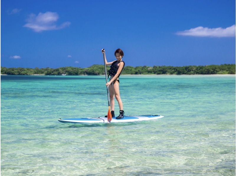 【石垣島/半日】世界が認めた「川平湾」選べるSUP/カヌー★送迎/写真データ無料で追加料金ナシ・当日予約OK！【学割対象プラン】の紹介画像