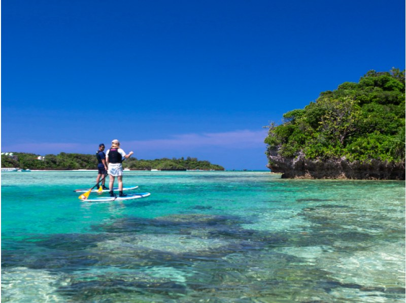 [Ishigaki Island/Half-day] Choose from SUP/canoeing in the world-renowned "Kabira Bay" ★ Free pick-up and drop-off/photo data with no additional charges, same-day reservations OK!の紹介画像