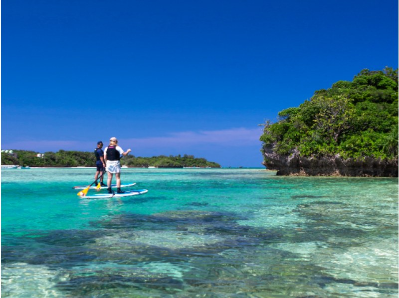 SALE！【石垣島/半日】世界が認めた「川平湾」選べるSUP/カヌー★送迎/写真データ無料で追加料金ナシ・当日予約OK！の紹介画像