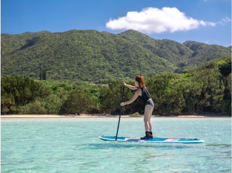 【石垣島/半日】世界が認めた「川平湾」選べるSUP/カヌー★送迎/写真データ無料で追加料金ナシ・当日予約OK！【学割対象プラン】の紹介画像