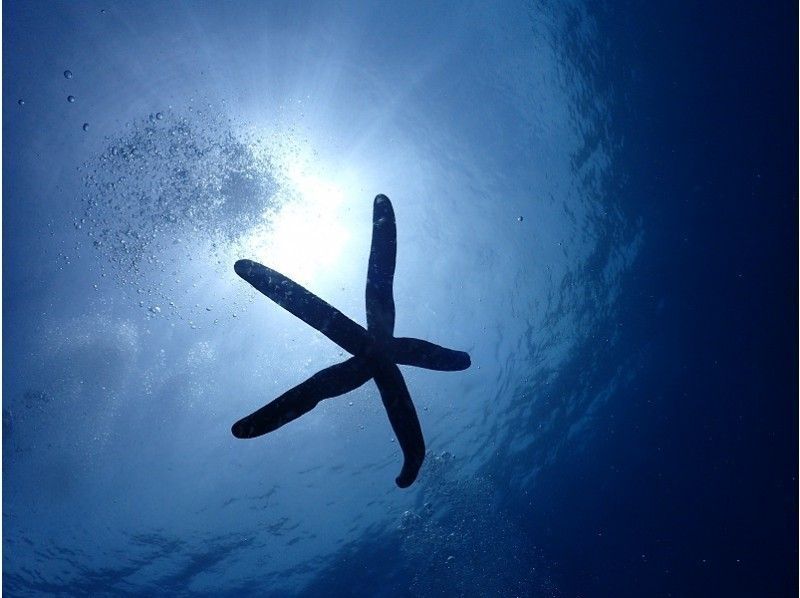 【沖繩·北屋】一組包機！ ！親子體驗潛水の紹介画像