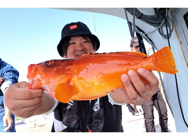 List of fishing boats in Wakayama │ Cheap tours? What was your catch? Thorough introduction of recommended plans for beginners and popular rankings!