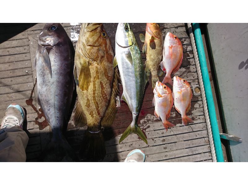 [วาคายามะ/เมืองสุซามิ [แบ่งปัน]] คุณสามารถเล็งปลาทรายแดงและปลาเก๋าได้! ไทราบาの紹介画像
