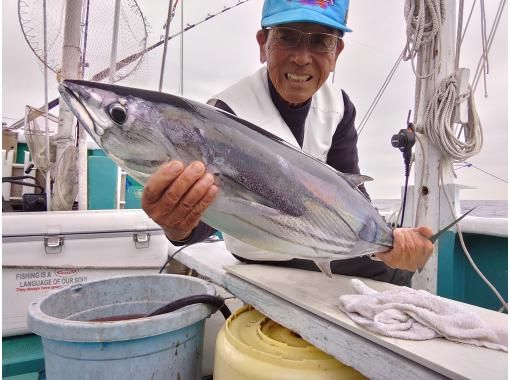 和歌山 すさみ町 超大物とのファイトも夢ではない 体験トローリング カジキ サワラ 地域共通クーポン取扱 アクティビティジャパン