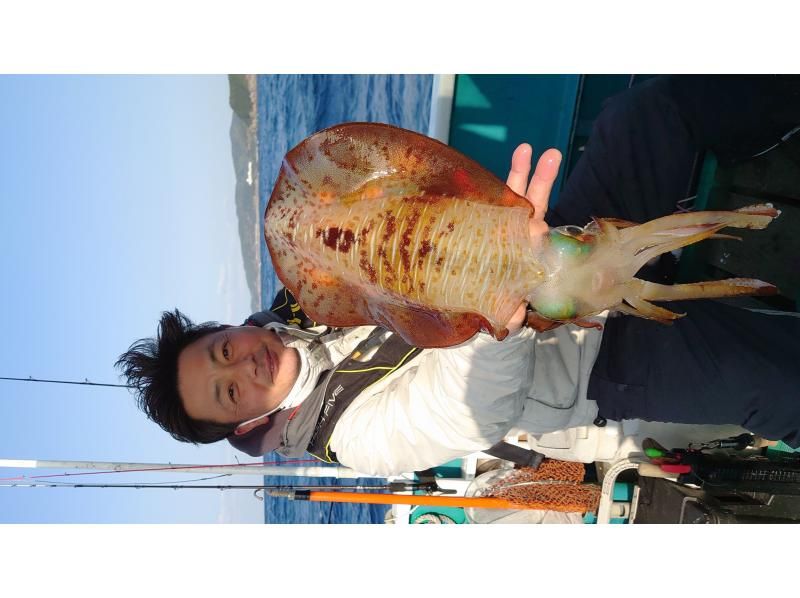 [Wakayama/Susami Town [Jitai]] Why not try fishing for bigfin squid! ? Bigfin squid: Tip run (7 hours)の紹介画像