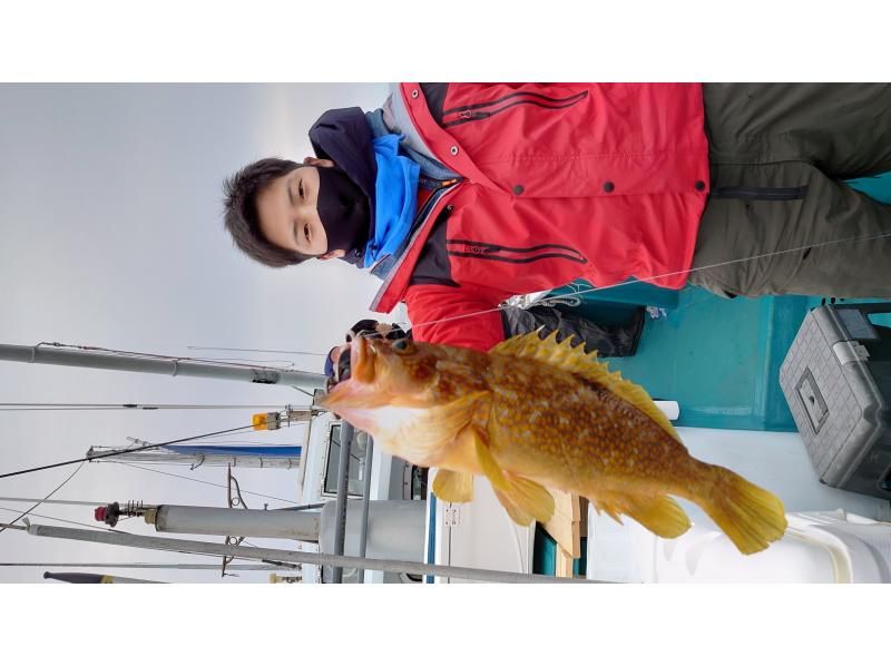 [Wakayama/Susami town [ride]] Let's aim for the big fish! Swimming fishing (Nomase fishing)の紹介画像