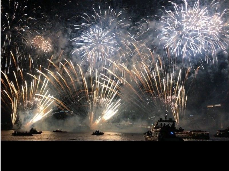 「2018年5月26日お台場花火」観覧クルーズ【天王洲ヤマツピア乗船】【12201】の紹介画像