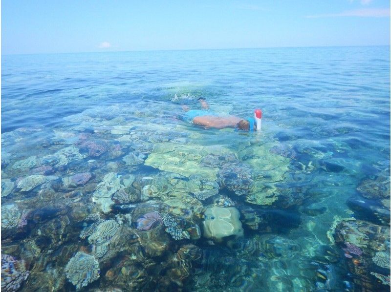 【จากโอกินาวา·อ่าว Ginowan ·มีให้ใช้ส่วนตัว】ออกเดินทางเวลา 9 โมงเย็น! ทัวร์ดำน้ำดูปะการังที่คุณสามารถเพลิดเพลินกับวันหนึ่ง【 6 ชั่วโมง】の紹介画像