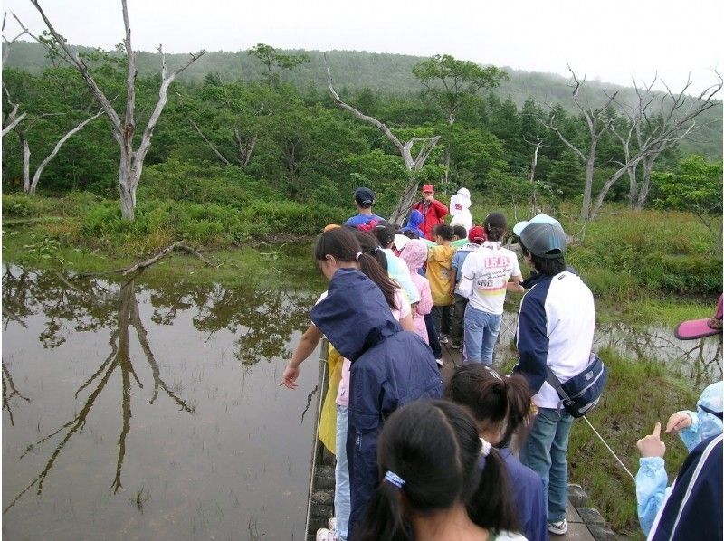 [Tochigi ・ Nasu】 Refreshing in the wetland of Numahara wetland hiking ~ 1300m above sea level ~の紹介画像