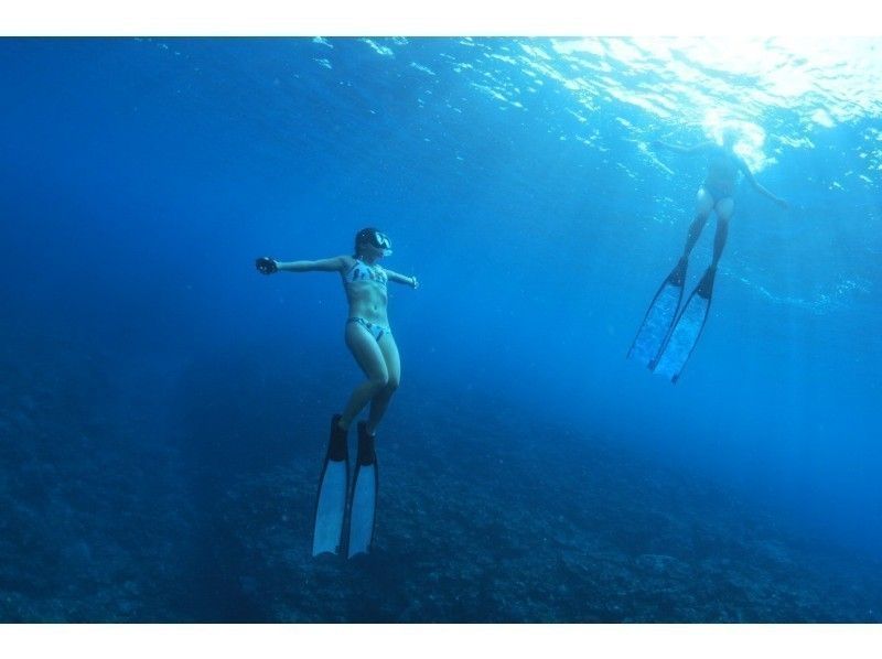 [이시가키] 만타를 만나러 간다 ~ 산호초 스노클링 반나절 코스 ~ (오전 · 오후)の紹介画像