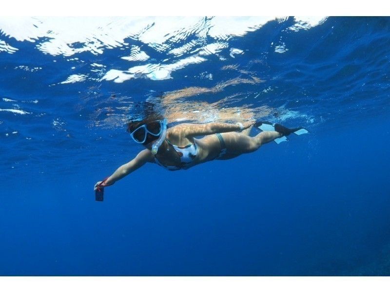 [오키나와 이시가키 섬】 만타와 바다 거북을 만나러 간다 ~ 산호초 스노클링 1 일 코스 ~ (픽업 대응 가능)の紹介画像