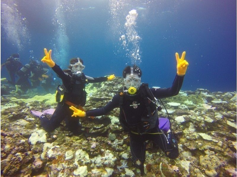 [沖繩/石垣島]去看蝠man和海龜-體驗潛水一日課程-（提供接機服務）の紹介画像