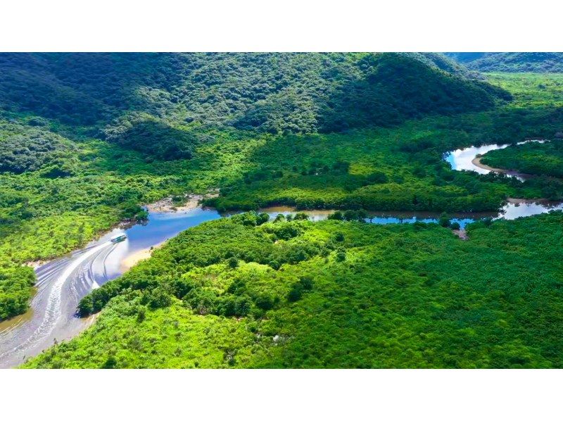 【Nature! Iriomote Island Tour] Rapid de Iriomote Friendship River / Yufu Course (with lunch) ‹N-0›