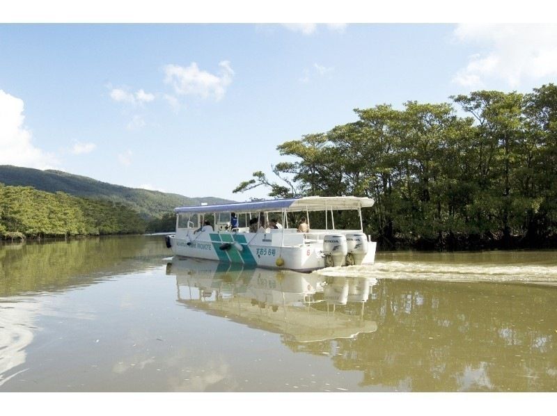 【Nature! Iriomote Island Tour] Rapid de Iriomote Friendship River / Yufu Course (with lunch) ‹N-0›の紹介画像