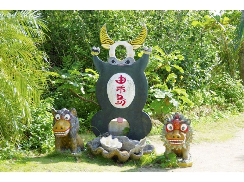 [地区通用优惠券的使用对象]快速行驶的中表川西表/由布路线（带午餐）‹N-0›の紹介画像