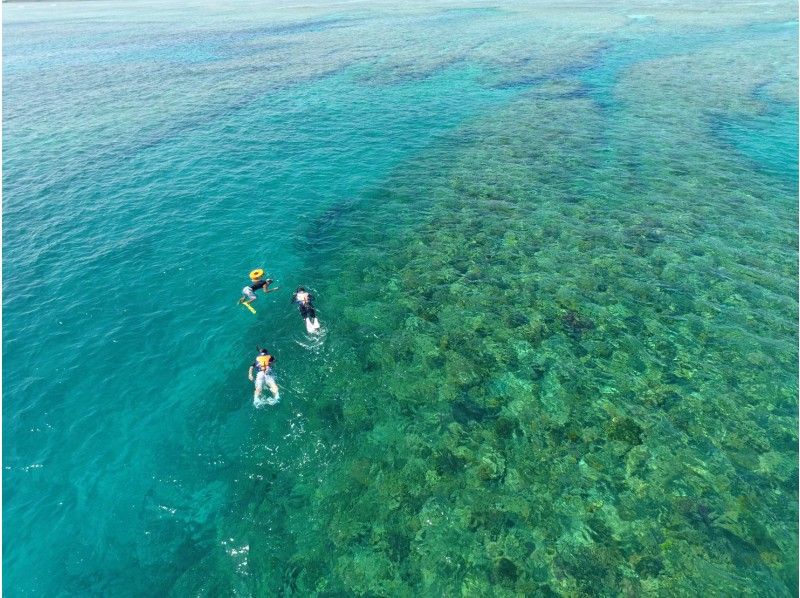 【沖縄・北部】水納島半日シュノーケル＆美ら海パラセーリング（マーリンコース） アクティビティジャパン