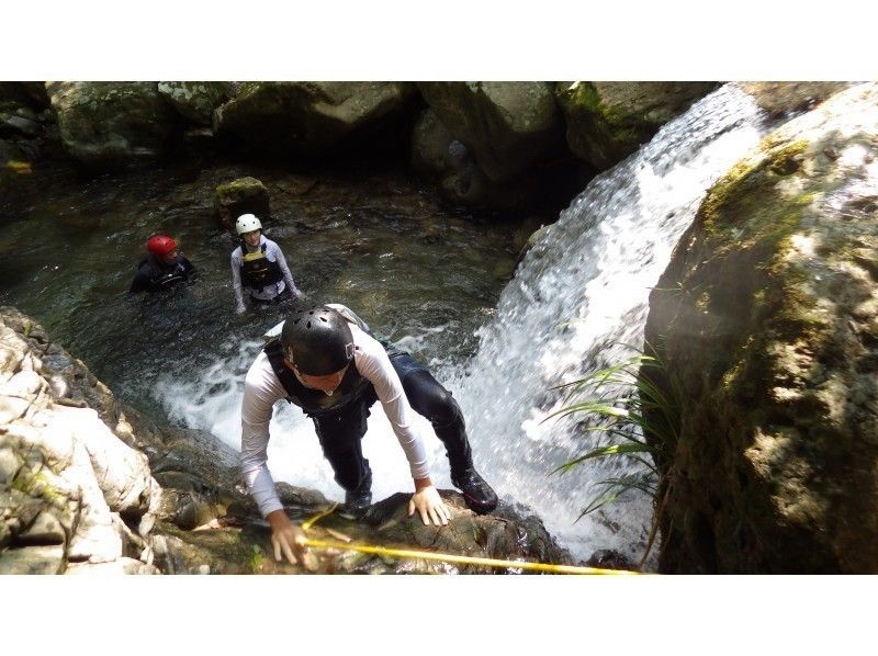[Shikoku / Tokushima] Exhilarating! Shower Clamming Challenge Courseの紹介画像