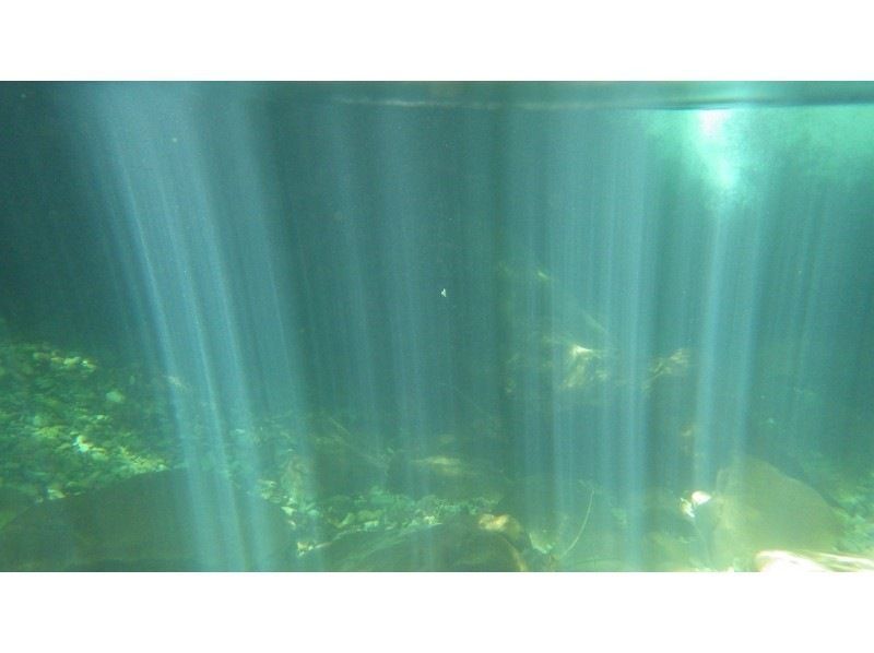 [Shikoku/Tokushima] [Most popular among 5th graders and adults★] Refreshing! Shower clamming challenge courseの紹介画像