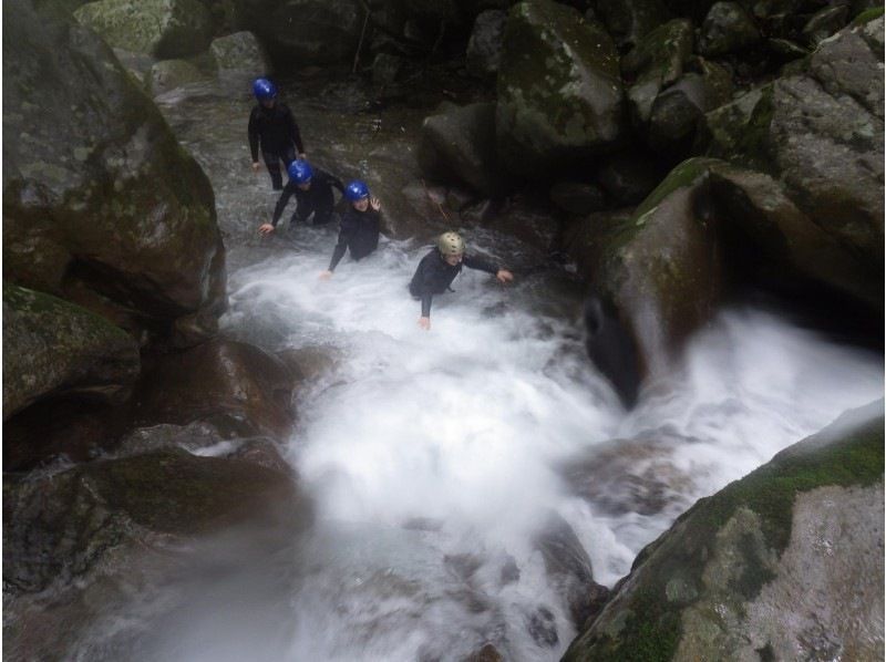 [Shikoku/Tokushima] [Most popular among 5th graders and adults★] Refreshing! Shower clamming challenge courseの紹介画像