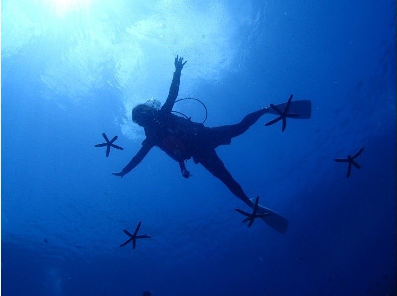 [ 오키나와 · 본섬] 완전 뿌라베토 제! 체험 다이빙 투어の紹介画像