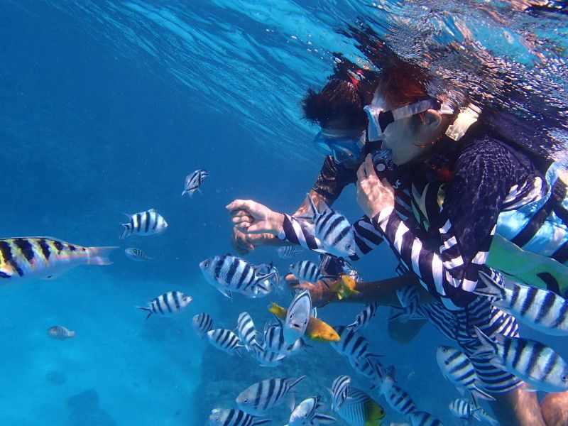 Okinawa snorkeling