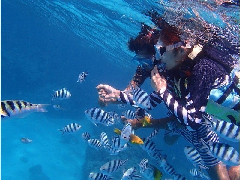 Kuefu Island Snorkeling