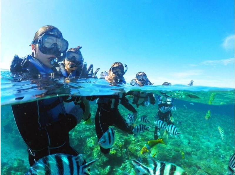 《國民旅遊支援券適用》慶良間群島那霸出發半天浮潛+香蕉船★耐搖晃的大型雙體船★免費拍照餵食★の紹介画像