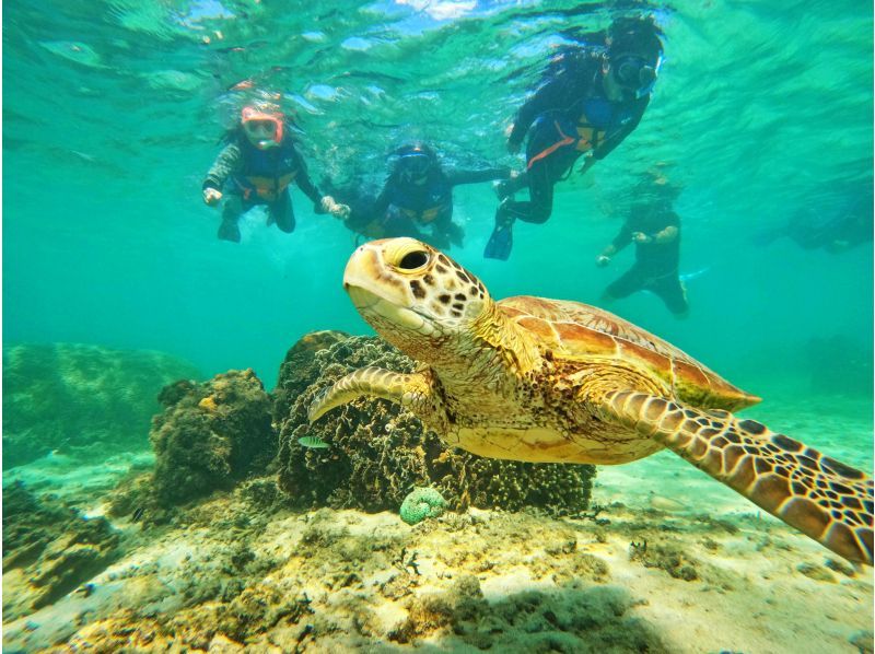 《國民旅遊支援券適用》慶良間群島那霸出發半天浮潛+香蕉船★耐搖晃的大型雙體船★免費拍照餵食★の紹介画像