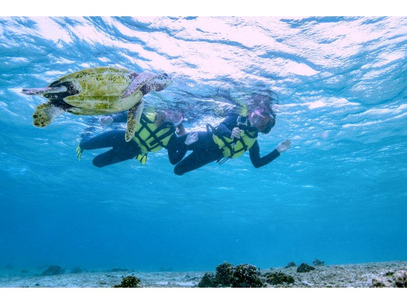 [冲绳/宫古岛]\遇到率98％以上/与海龟一起游泳的浮潜之旅！配备淋浴和吹风机♡の紹介画像