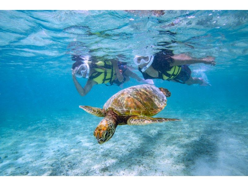 [冲绳/宫古岛]\遇到率98％以上/与海龟一起游泳的浮潜之旅！配备淋浴和吹风机♡の紹介画像