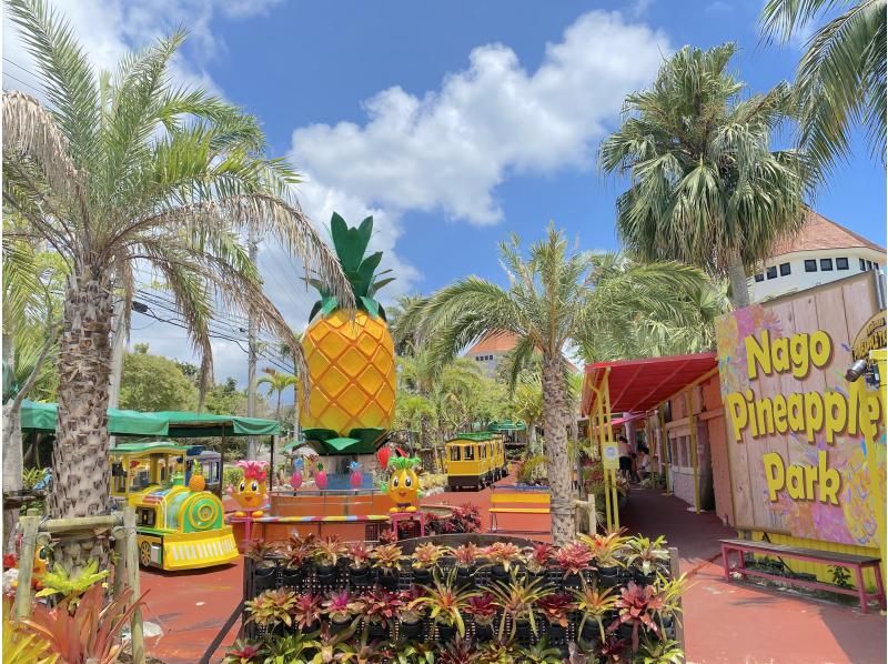 [Okinawa, Nago] Very popular! "Nago Pineapple Park Admission Ticket" Enjoy the whole pineapple!の紹介画像