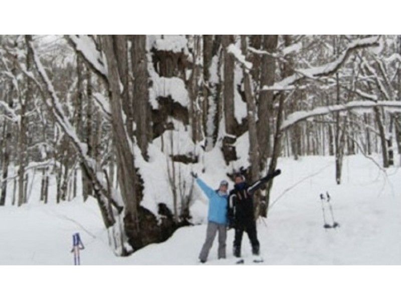 【北海道・大雪山】動物の痕跡を観察しながら絶景スノーシュー「天人峡　森の神様コース」帰りに温泉立寄りの紹介画像