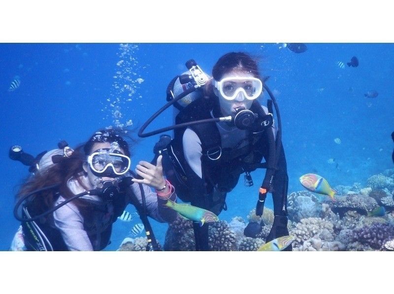 【沖縄・美ら海水族館近く】体験ダイビングコース☆高画質！GoPro水中動画プレゼント☆白い砂地と広がるサンゴ礁の水中世界へようこそ！！の紹介画像