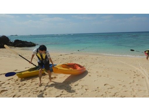 沖縄北部 本部町 シーカヤック 美ら海水族館近く 沖縄の自然を満喫 のんびりカヤックツアー アクティビティジャパン
