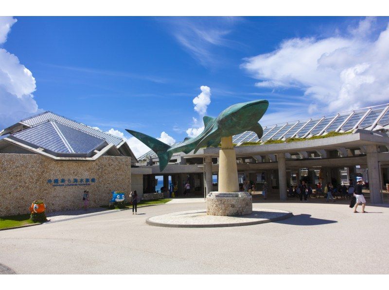 SALE！【那覇・北谷発着】美ら島終日観光バス（Cコース）美ら海水族館→古宇利島→お菓子御殿→万座毛→アメリカンビレッジ★の紹介画像