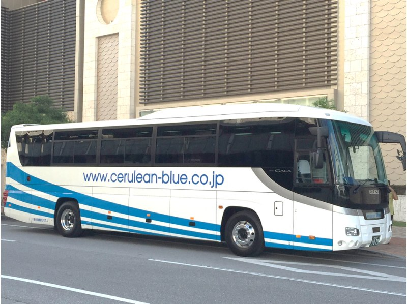 【那覇・北谷発着】美ら島終日観光バス（Cコース）美ら海水族館→古宇利島→お菓子御殿→万座毛→アメリカンビレッジ★の紹介画像