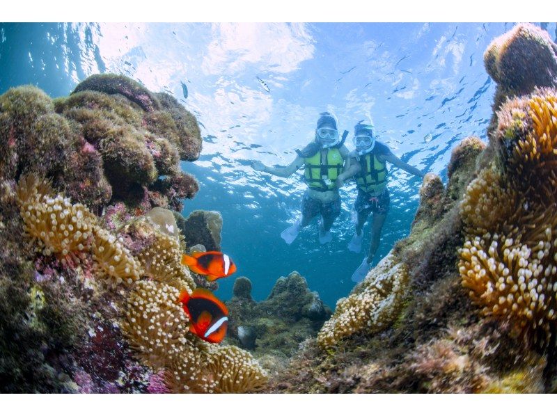 [Miyakojima Coral] Snorkel tour to enjoy coral and fish! Tour photos, showers, hair dryers, and parking are free ♡ Spring sale is underway!の紹介画像