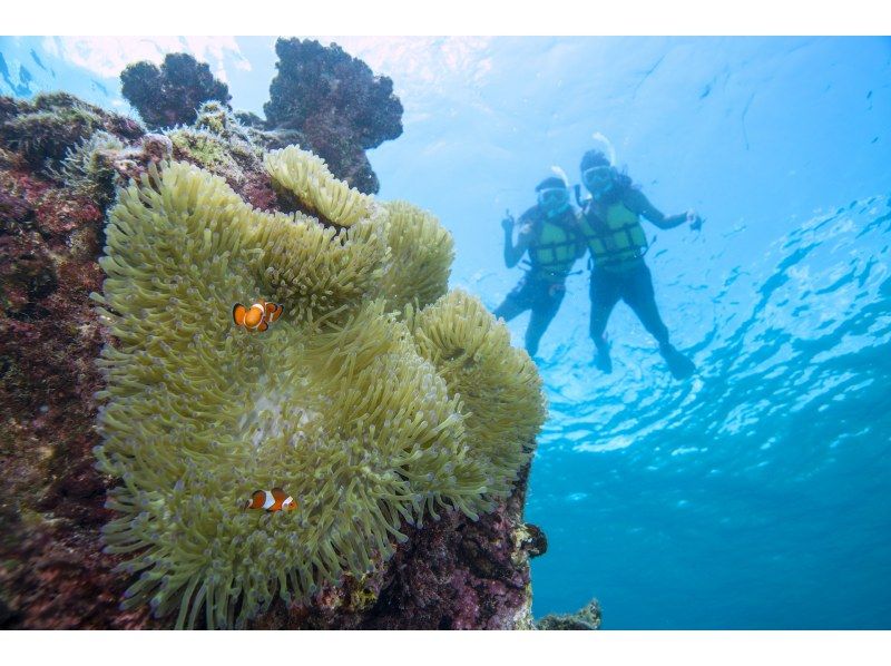 ＼Easily gather at shops in the city ♪／Coral and fish snorkel tour from 3 years old｜Super summer sale