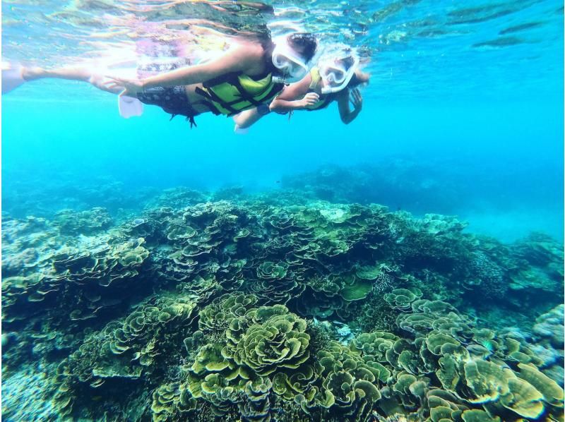 [Miyakojima Coral] Participants from 3 to 75 years old are welcome! Snorkel tour to enjoy coral and fish! Tour photos, shower, hair dryer, and parking are free♡の紹介画像