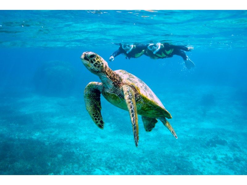[Okinawa/Miyakojima] \ Great value set plan / Sea turtle & coral snorkeling 2-pack tour! Held for beginners ♡の紹介画像