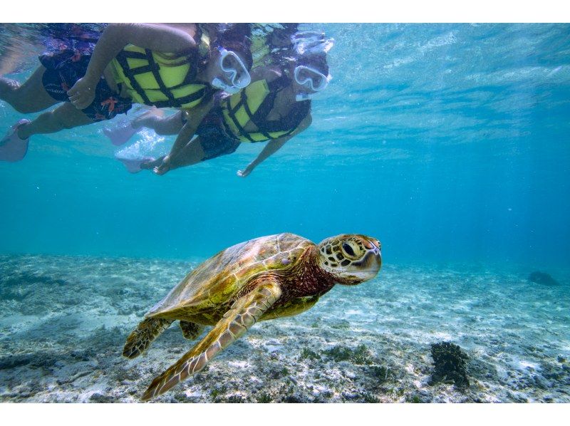 [Okinawa/Miyakojima] \ Great value set plan / Sea turtle & coral snorkeling 2-pack tour! Held for beginners ♡ Spring sale underway!の紹介画像