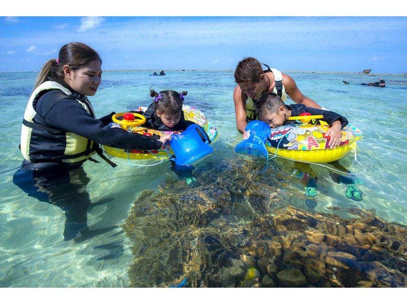 [沖縄-宮古島]浮潛包（兩個）♪海龜之旅+珊瑚之旅！淋浴間-吹風機完成風箏の紹介画像
