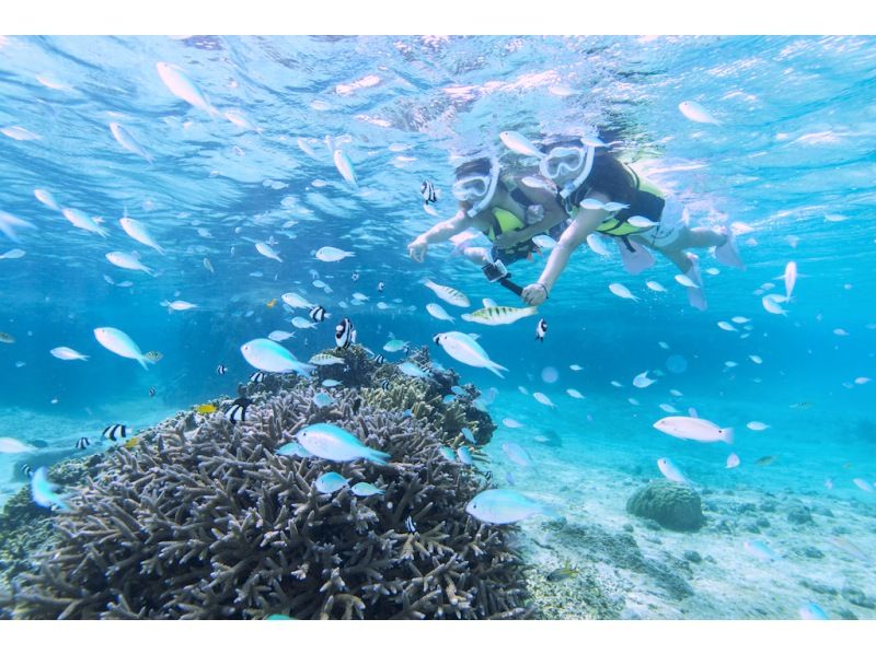 [冲绳-宫古岛]有利的设定！珊瑚浮潜+日落皮艇！淋浴间，吹风机完成风筝の紹介画像